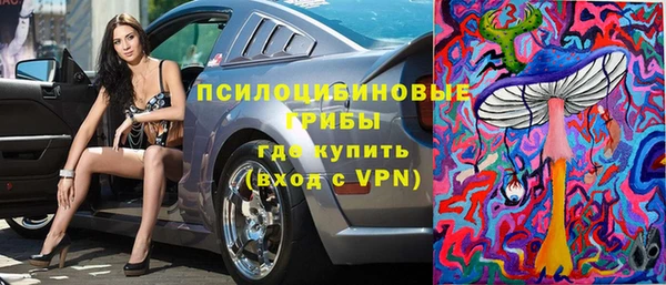 мяу мяу кристалл Богданович
