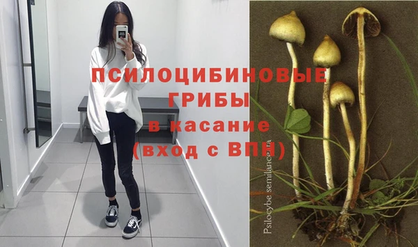 мяу мяу кристалл Богданович